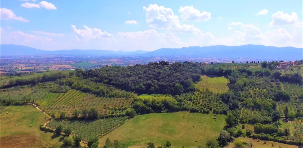 Agriturismo Camiano Piccolo Montefalco Ngoại thất bức ảnh