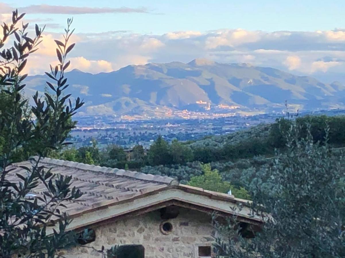 Agriturismo Camiano Piccolo Montefalco Ngoại thất bức ảnh
