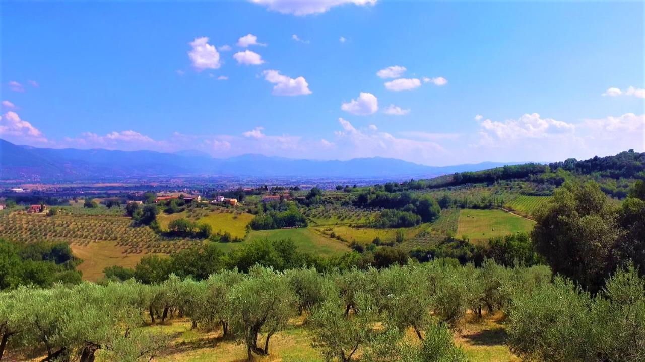 Agriturismo Camiano Piccolo Montefalco Ngoại thất bức ảnh