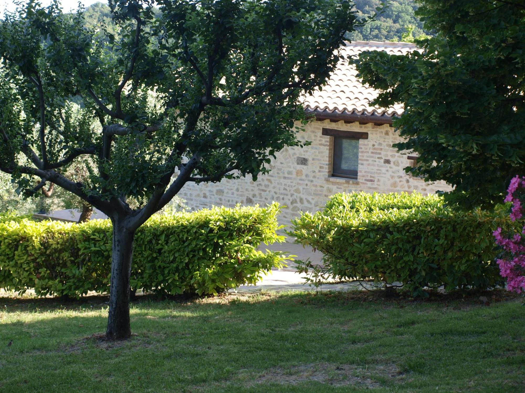 Agriturismo Camiano Piccolo Montefalco Ngoại thất bức ảnh
